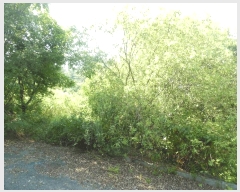  2025Ÿ��51467  �Ӿ߰��