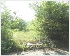  2025Ÿ��51467  �Ӿ߰��