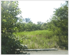  2025Ÿ��51467  �Ӿ߰��