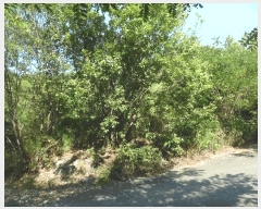  2025Ÿ��51467  �Ӿ߰��