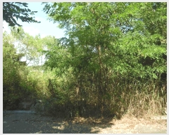  2025Ÿ��51467  �Ӿ߰��