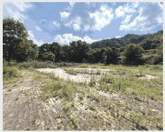  2025Ÿ��51504  ��Ÿ�������