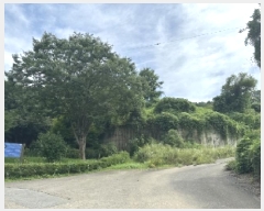  2025Ÿ��51504  ��Ÿ�������