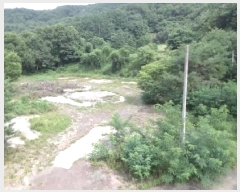  2025Ÿ��51504  ��Ÿ�������