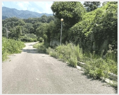  2025Ÿ��51504  ��Ÿ�������