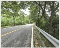  2025Ÿ51533   Ѹ Ұ踮 231      ()