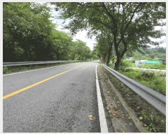  2025Ÿ51533   Ѹ Ұ踮 231      ()