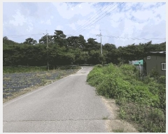  2025Ÿ51533   Ѹ Ұ踮 231      ()