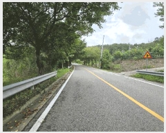  2025Ÿ51533   Ѹ Ұ踮 231      ()