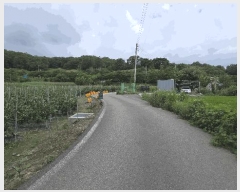  2025Ÿ51533   Ѹ Ұ踮 231      ()