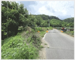  2025Ÿ51533   Ѹ Ұ踮 231      ()