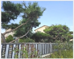  2025Ÿ51544  õ õ  432-2      ð