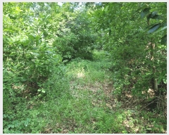  2025Ÿ51556   ȸ Ҹ 69-1      (1)