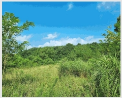  2025Ÿ51556   ȸ Ҹ 69-1      (1)