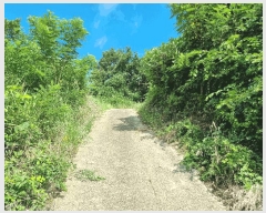  2025Ÿ51556   ȸ Ҹ 69-1      (1)