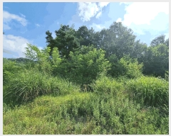  2025Ÿ51556   ȸ Ҹ 69-1      (1)