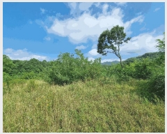  2025Ÿ51556   ȸ Ҹ 69-1      (1)