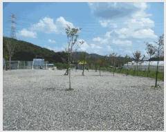  2025Ÿ��51607  ���(ķ����)���