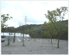  2025Ÿ��51607  ���(ķ����)���