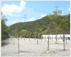  2025Ÿ��51607  ���(ķ����)���