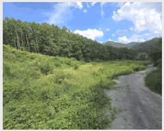  2025Ÿ��51638 ��� ������ ������ ��� 111      ����(��1)���