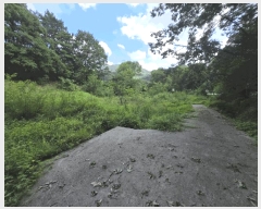  2025Ÿ��51638 ��� ������ ������ ��� 111      ����(��1)���