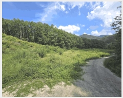  2025Ÿ��51638 ��� ������ ������ ��� 111      ����(��1)���