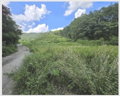  2025Ÿ��51638 ��� ������ ������ ��� 111      ����(��1)���