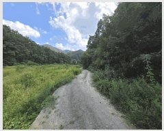  2025Ÿ��51638 ��� ������ ������ ��� 111      ����(��1)���