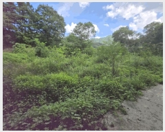  2025Ÿ��51638 ��� ������ ������ ��� 111      ����(��1)���