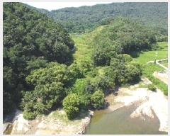  2025Ÿ��51638 ��� ������ ������ ��� 111      ����(��1)���