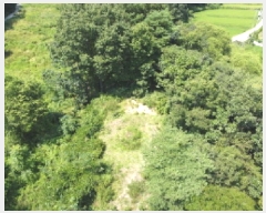  2025Ÿ��51638 ��� ������ ������ ��� 111      ����(��1)���