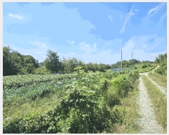  2025Ÿ��51660  �����