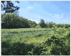  2025Ÿ��51660  �����