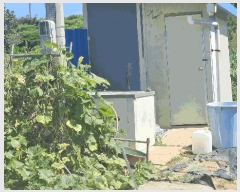  2025Ÿ��51660  �����