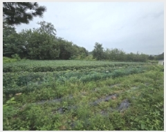  2025Ÿ��51660  �����