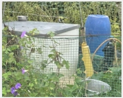  2025Ÿ��51660  �����