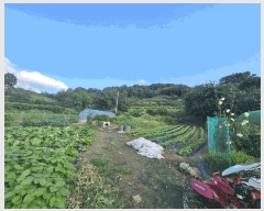  2025Ÿ��51692 ��� û�ֽ� ����� ������ ��õ�� 45     ����(����)���