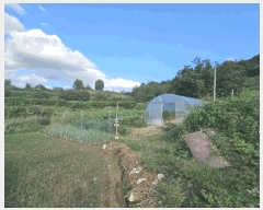  2025Ÿ��51692 ��� û�ֽ� ����� ������ ��õ�� 45     ����(����)���