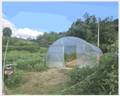  2025Ÿ��51692 ��� û�ֽ� ����� ������ ��õ�� 45     ����(����)���