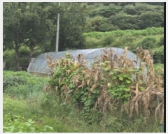  2025Ÿ��51692 ��� û�ֽ� ����� ������ ��õ�� 45     ����(����)���