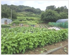  2025Ÿ��51692 ��� û�ֽ� ����� ������ ��õ�� 45     ����(����)���