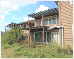  2025Ÿ��51699  ���ð��