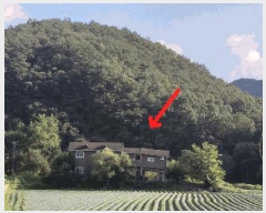  2025Ÿ��51699  ���ð��