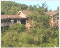  2025Ÿ��51699  ���ð��