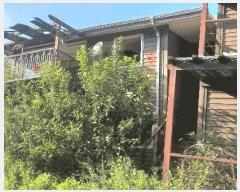  2025Ÿ��51699  ���ð��