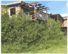  2025Ÿ��51699  ���ð��