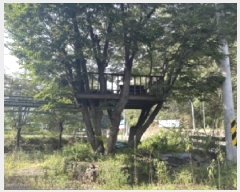  2025Ÿ��51714 ��� ���걺 ûõ�� ȭ�縮 65-11      ���(ķ����)���