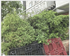  2025Ÿ��51754 ��� û�ֽ� û���� ��â�� ��û�� 730-6     �ܵ�����,�����ð��