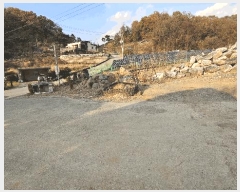  2025Ÿ��51953  �����